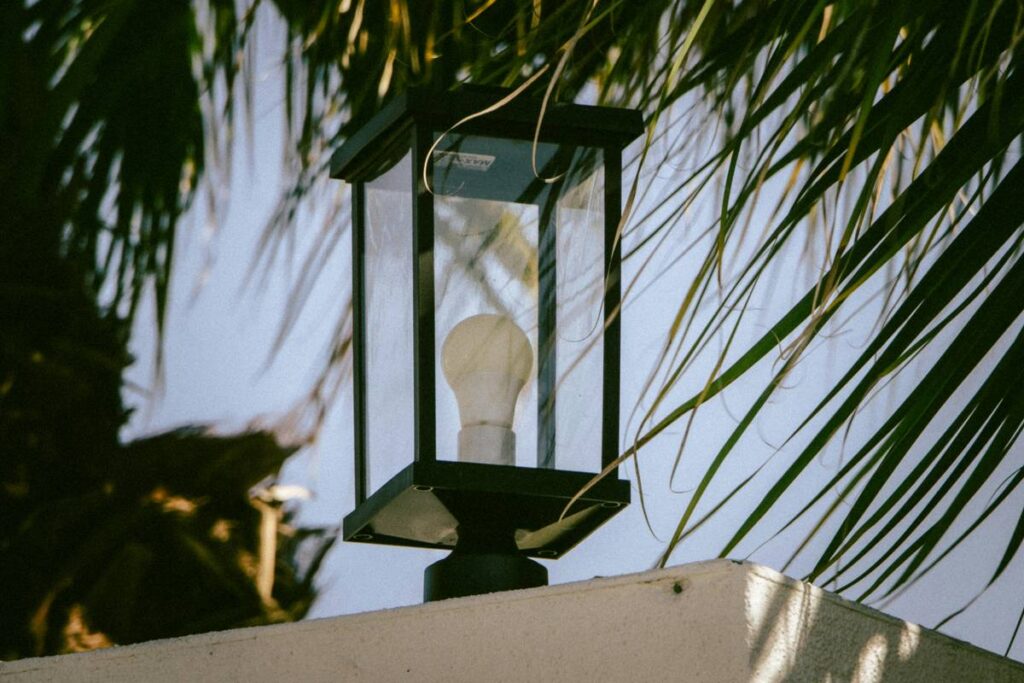 Black outdoor lantern with a light bulb and palm leaves.