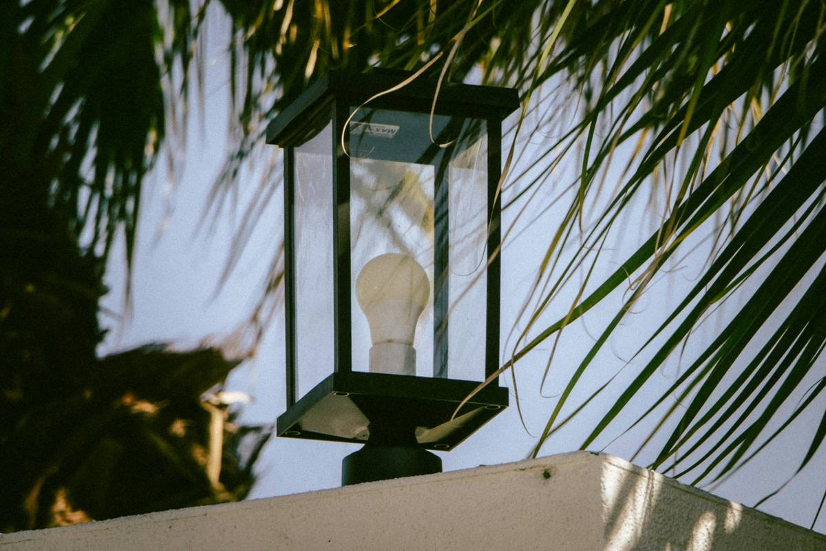 Black outdoor lantern with a light bulb and palm leaves.