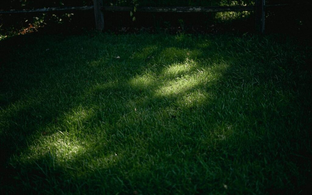 Outdoor Lighting Security Lights: Your Nighttime Guardian (Without the Surveillance Fees)