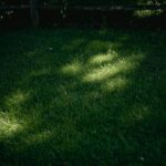 Outdoor Lighting Security Lights: Your Nighttime Guardian (Without the Surveillance Fees)